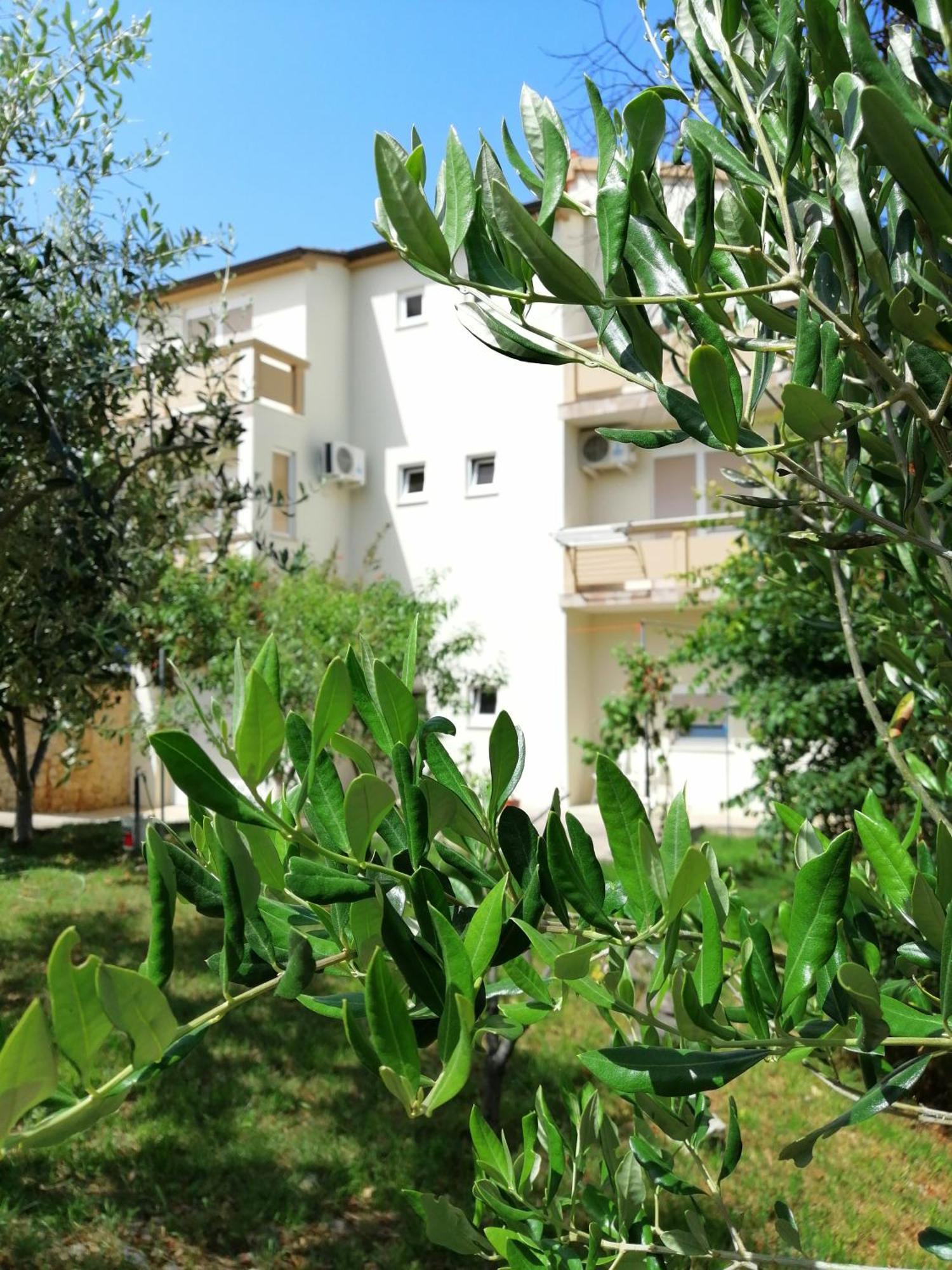 Apartments Monika נין מראה חיצוני תמונה